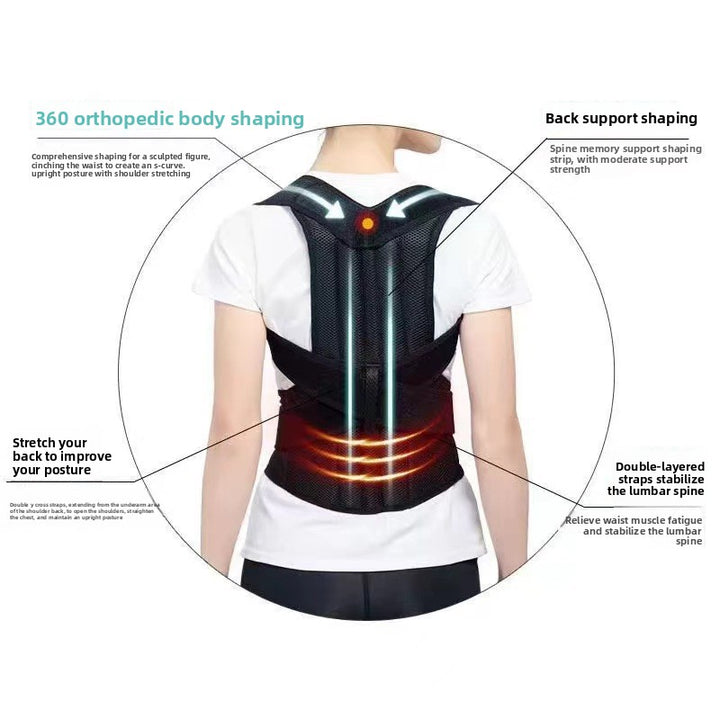 Posture corrector belt worn on back