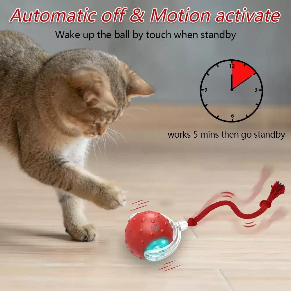 Interactive rolling cat toy ball