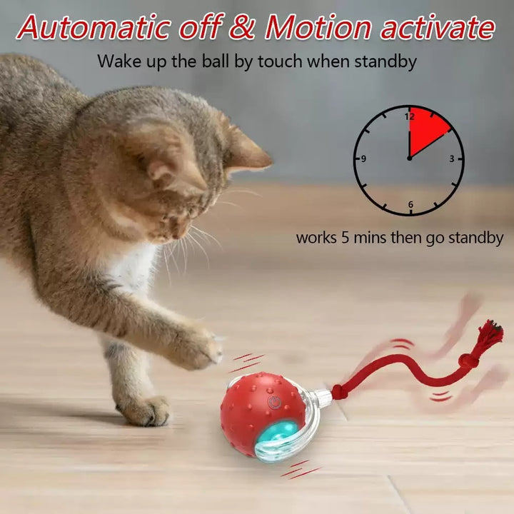 Interactive rolling cat toy ball