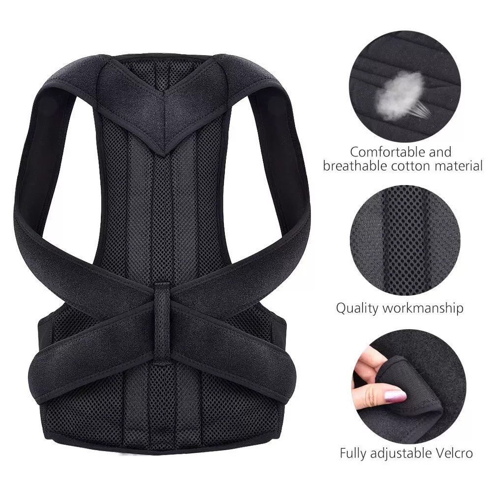 Posture support belt size options