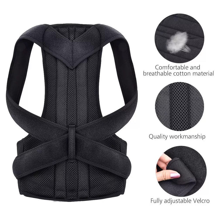 Posture support belt size options