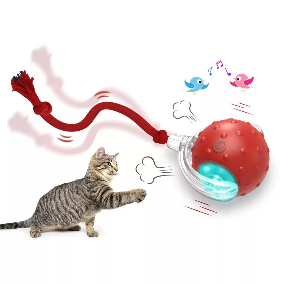 Auto-motion cat exerciser ball red