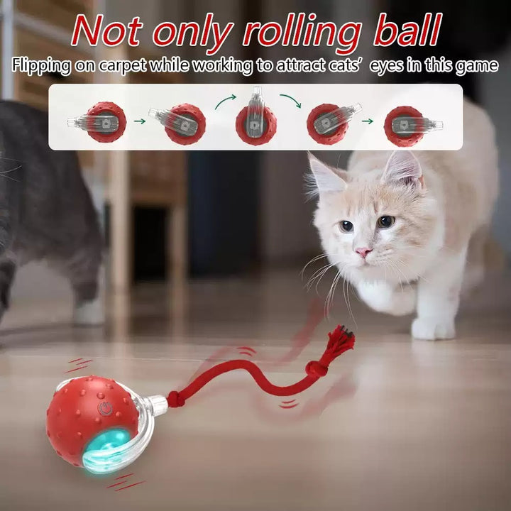 Interactive cat ball toy size