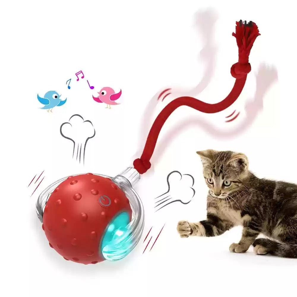 Cat playing with rolling toy ball